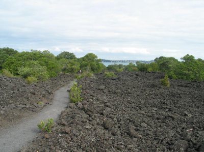 Lava field with path and encroaching vegetation. Note that despite appearances this is loose rock, not ploughed-up soil. ~ By Nevilley at the English language Wikipedia